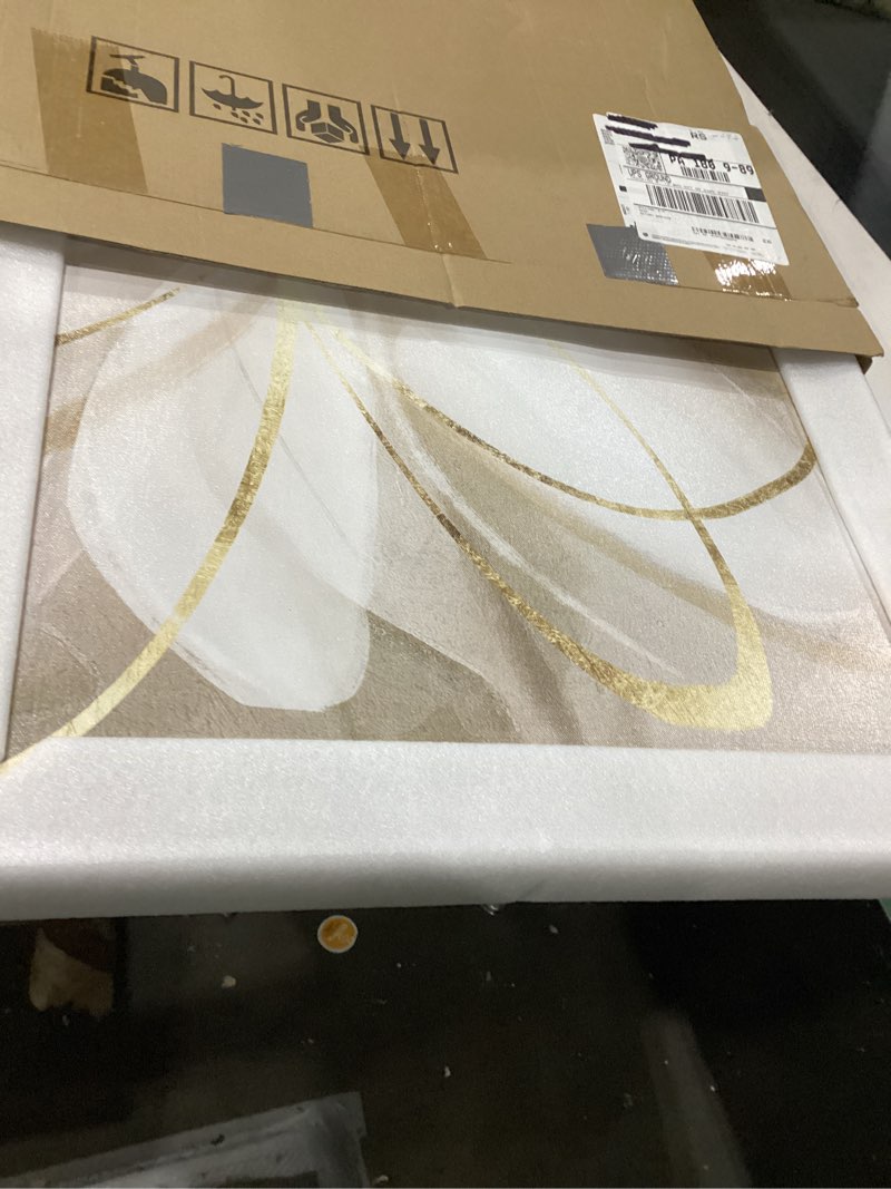 Condition photo showing Good Condition for Framed Abstract Wall Art Gold Pictures Wall Decor Line Painting on Canvas 20"x 40" Contemporary Flor