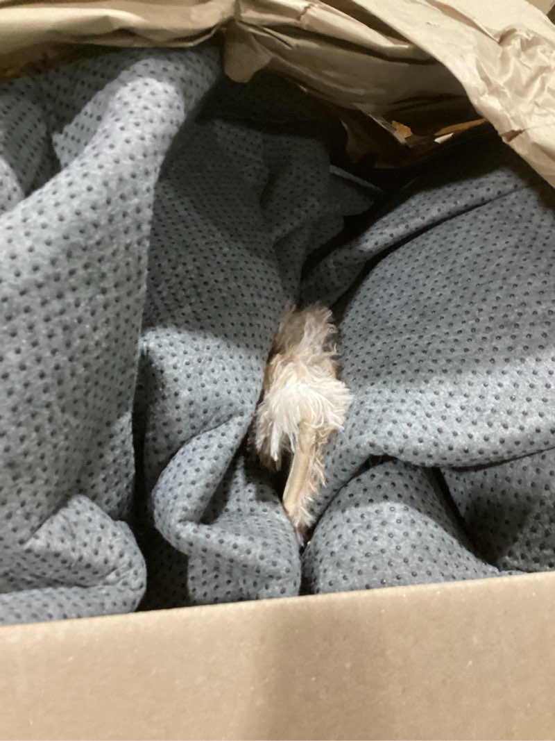 Condition photo showing Good Condition for Upgrade Non-Slip Plush Rugs for Living Room, Soft Shaggy Carpets for Living Room, Fuzzy Rugs for Kids' Room, Perfect Decor for Modern Home Tie Dye Camel 8x10 Feet Tie Dye Camel 8' x 10' (Rectangular)