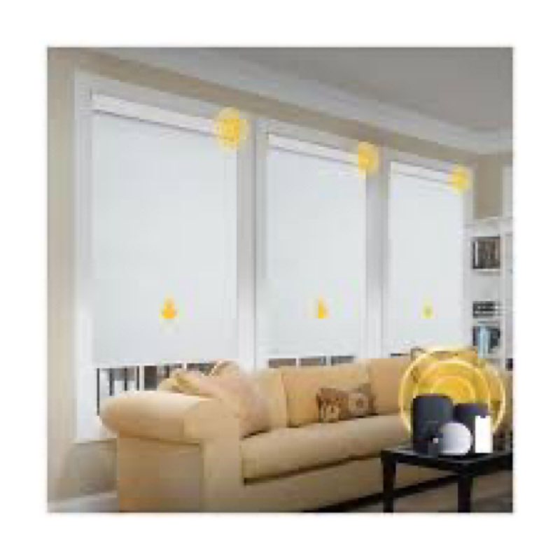 Motorized Blinds with Remote, Grasscloth Fabric Smart Blinds with Valance Cover, Cordless Automatic 