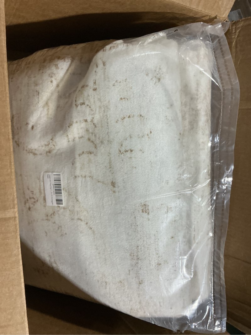 Condition photo showing Good Condition for 8x10 area rugs for living room, washable runner rugs for bedroom, entryway hallways clearance kitchen indoor boho carpet, beige office rug (pale beige, 8' x 10' (rectangular)) pale beige 8' x 10' (rectangular)