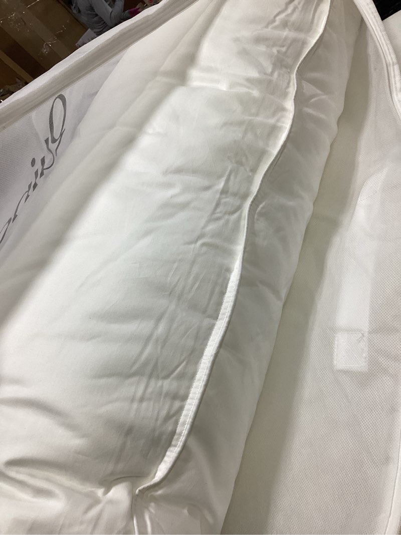 Condition photo showing As Is for quince white goose down pillow- king (medium white 