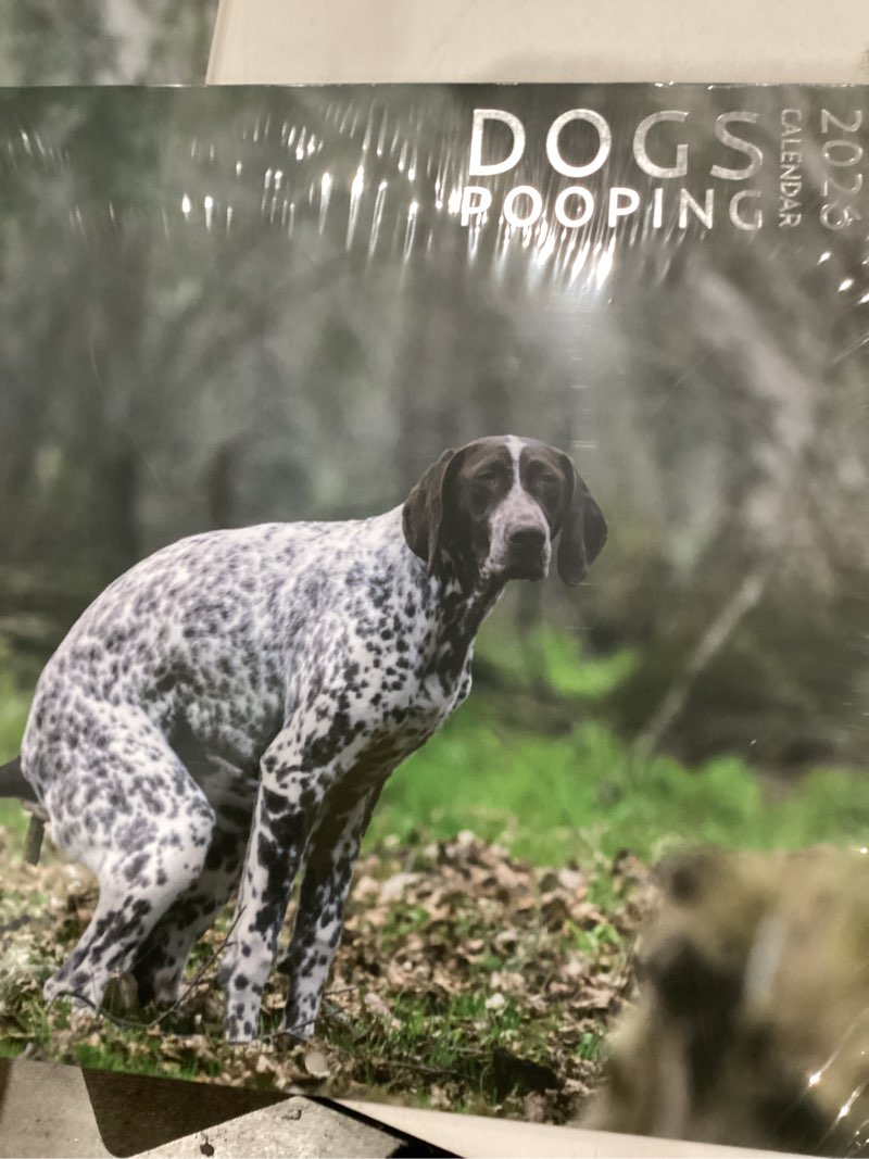 Condition photo showing New/Like New for Dog Pooping Calendar 2026, 12 x 12 inch, Funny Gift, White Elephant, Gag Gift, Secret Santa