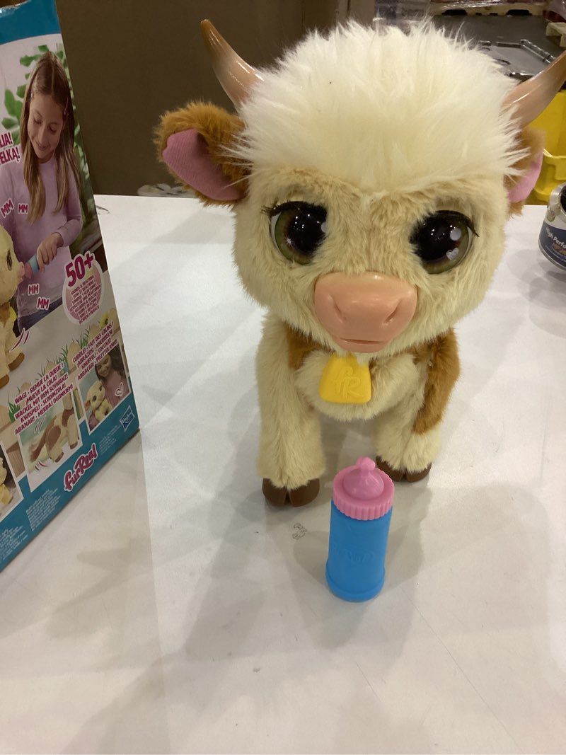 Condition photo showing Good Condition for FurReal Maggie The Feed & Follow Cow, 11 Inch Interactive Highland Mini Cow, for Boys and Girls, Ages 4 and up