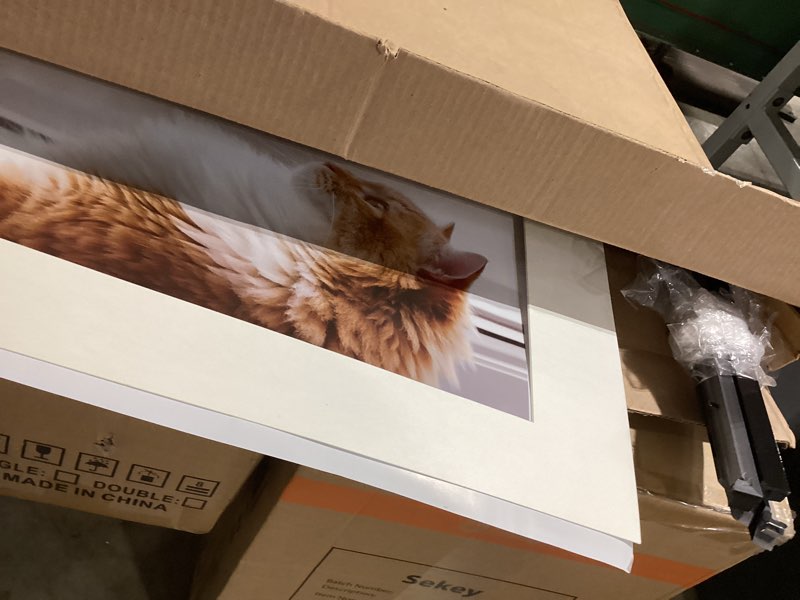 Condition photo showing As Is for a2 picture frame 16.5"x23.4" premium plastic - glossy black frame with shatterproof plexiglass cover wall mounting hardware included - ideal for posters, prints, artworks, certificates and photos