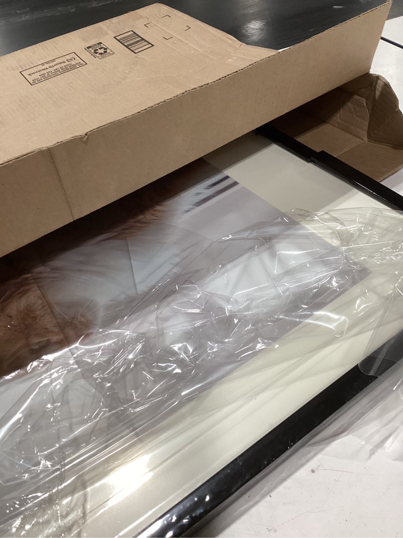 Condition photo showing As Is for A2 Picture Frame 16.5"x23.4" Premium Plastic - Glossy Black Frame with Shatterproof Plexiglass Cover Wall Mounting Hardware Included - Ideal for Posters, Prints, Artworks, Certificates and Photos