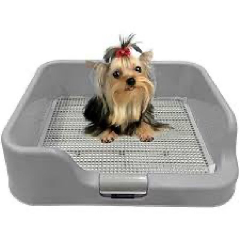 [dogcharge] indoor dog potty tray – with protection wall every side for no leak, spill, accident - keep paws dry and floors clean (tray only, grey) tray only grey