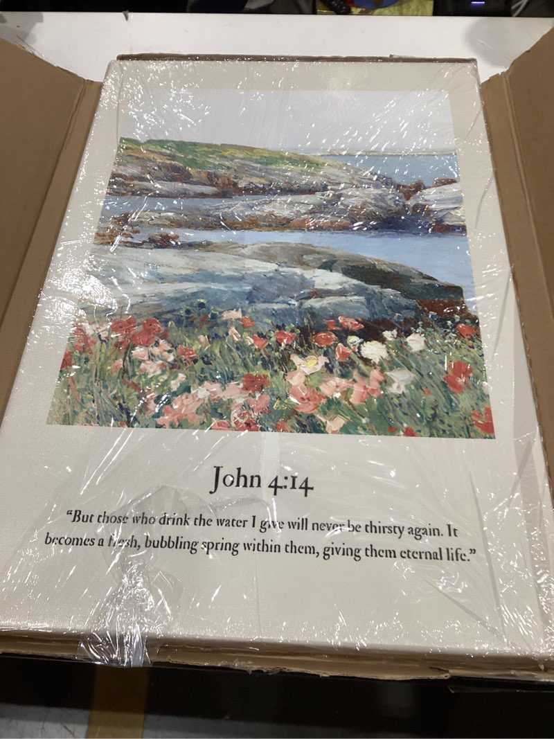 Condition photo showing New/Like New for Framed Bible Verses Wall Decor Set of 2 Christian Jesus Pictures Wall Art Psalms Scripture Poster Scripture Gallery Prints Religious Quotes Wall Art 16 * 24Inch*2 Framed 16"*24"*2
