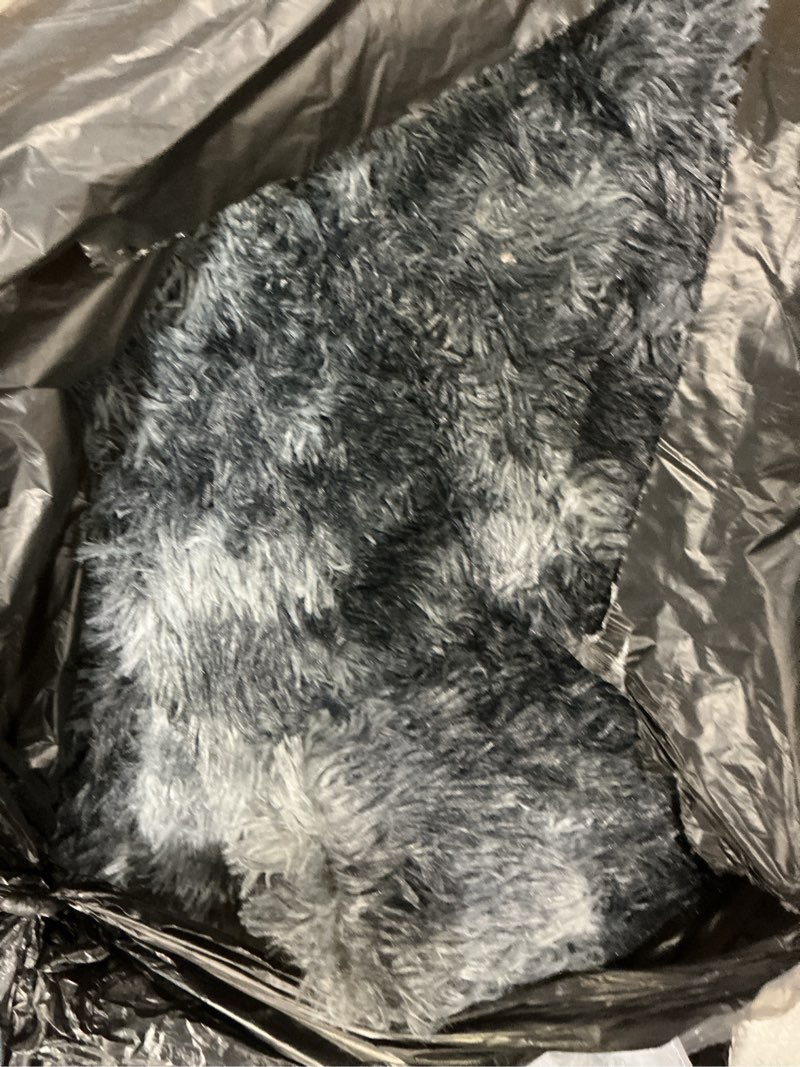 Condition photo showing As Is for Area Rugs for Living Room Bedroom, Machine Washable 4x5.9 ft Soft Fluffy Shaggy Bedside Rug, Indoor Floor Carpet for Kids Girls and Boys, Dorms, Nursery Rooms, Home Decor Aesthetic, Grey 4x5.9 ft Grey