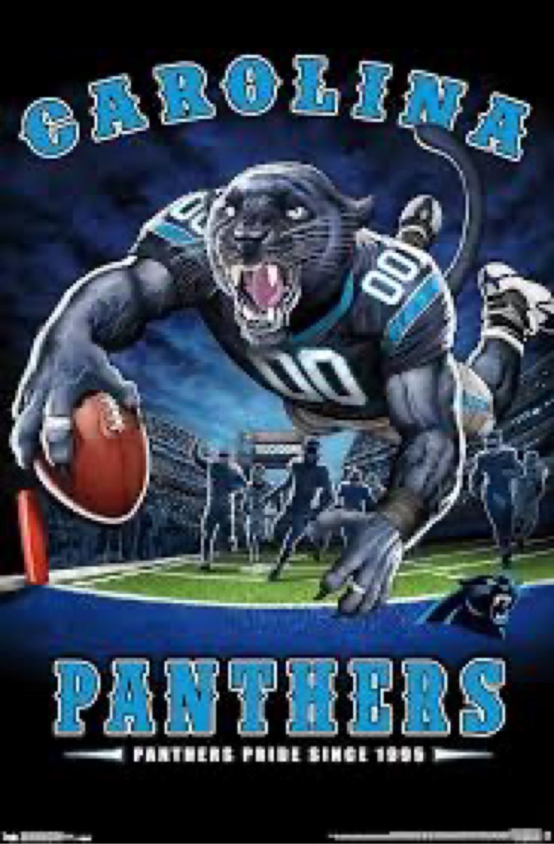 Trends International NFL Carolina Panthers - End Zone 17 Wall Poster, 22.375" x 34", Premium Unframe