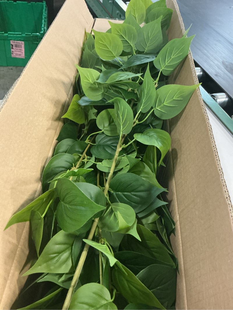 Condition photo showing New/Like New for pothos plant stems 14 inchs, set of 12 