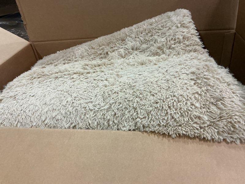 Condition photo showing Good Condition for Light Tan 8x10 Area Rugs for Living Room Bedroom, Fluffy Large Rug Soft Shag Non-Slip Carpet for Kids Boys and Girls Room Dorm Home Decor (8ft x 10ft) Light Tan 8' x 10' (Rectangular)