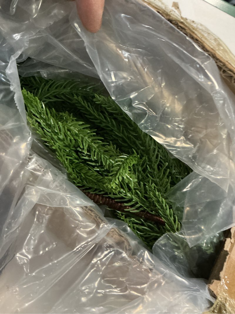 Condition photo showing Good Condition for 2 Pcs 6 Ft Artificial Norfolk Pine Christmas Garlands for Holiday Indoor Outdoor Decor?Real Touch Pine Garlands?Artificial Greenery Garland for Home Dining Table?Mantel?Wall Porch Christmas Decor.