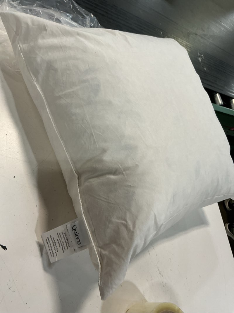 Condition photo showing As Is for  premium down pillow 21”x21”  white