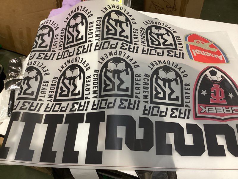 Player develope academy poster