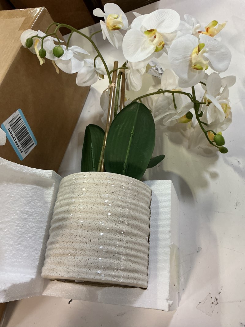 Condition photo showing New/Like New for artificial orchid flowers fake phalaenopsis plant in pot, 23" tall faux orchids for home decor indoor, lifelike silk flowers for centerpieces office arrangement-white