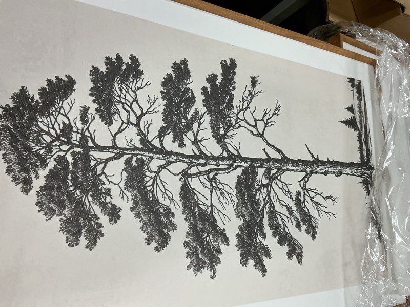 Condition photo showing Good Condition for extra large wall art framed vintage tree sketch antique botanical forest prints rustic farmhouse nature decor for living room bedroom office 24"x36" set of 3 36"l x 24"w tree sketch