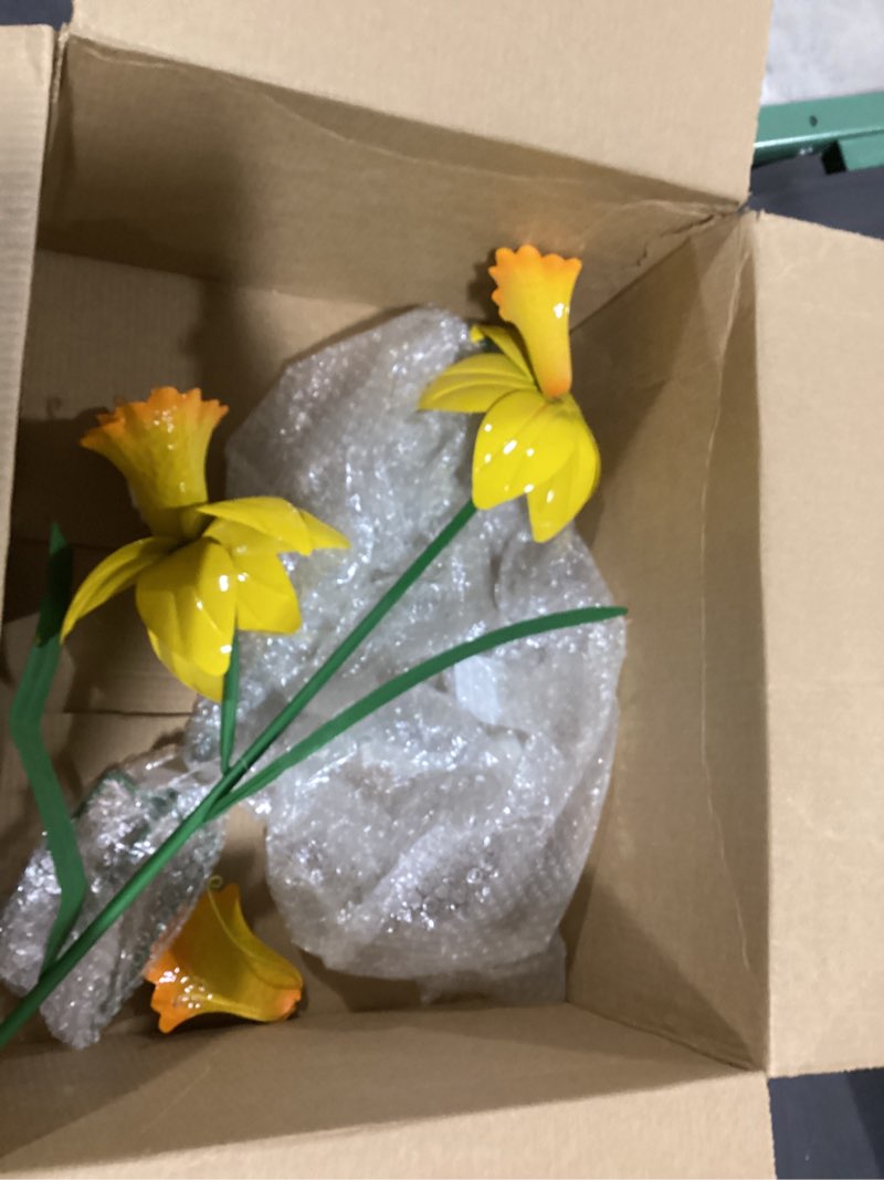 Sunset Vista Daffodil Double Garden Stake