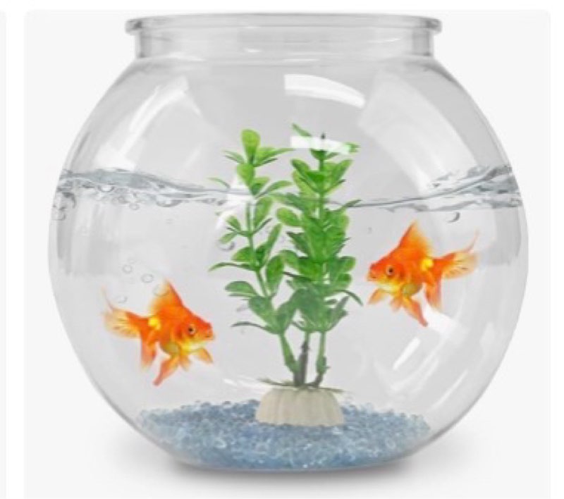 Geelin 7 Gallon Plastic Fish Tan…piece Gift for Fish Lovers(round) (similar to stock photo)