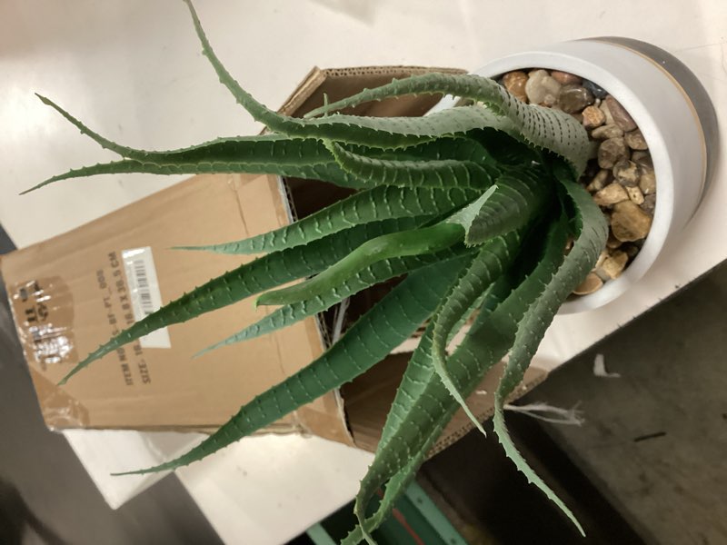 Condition photo showing As Is for briful succulents artificial plants fake aloe vera plants in gold and black pot farmhouse faux agave plant for home office desk bathroom shelf decorations agave greenery#008