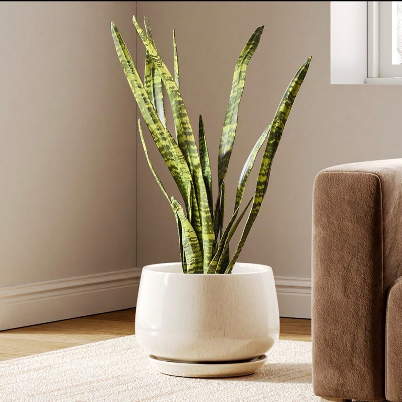 LE TAUCI Ceramic Planters, 10 Inch Plant Pot with Drainage Holes and Saucers, Stylish and Durable Planter, Plant Pots Indoor, Gift for Mom, Reacti