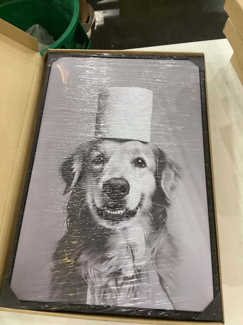 Condition photo showing New/Like New for Floating Framed Bathroom Picture Wall Decor - Highland Dog with Toilet Paper on Head Canvas Wall Art, Black and White Toilet Decor Cow Poster Paintings Prints for Restroom Decoration 8x10 inch Black and White Dog Floating 10\"L x 8\"W