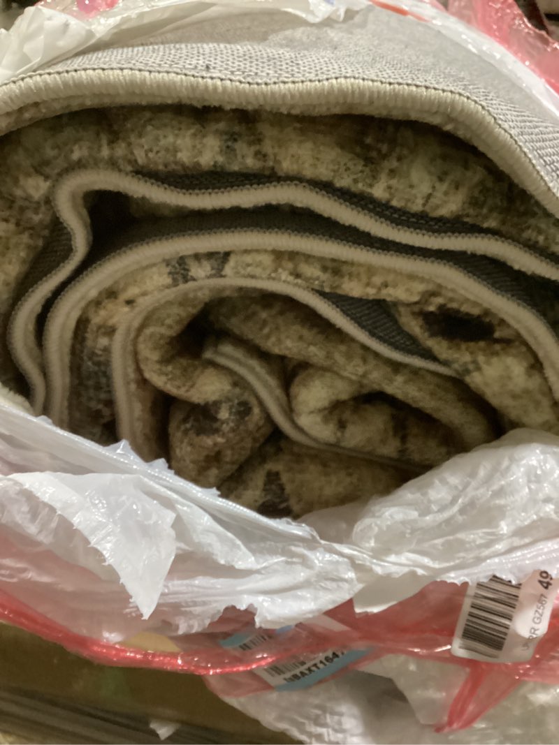 Condition photo showing Good Condition for loloi margot collection mat-04 antique/sage 8'-6" x 11'-6" area rug feat. cloudpile, no-shed easy clean large patterned area rug for living room, bedroom, dining area antique / green 8'6" x 11'6" (rectangular)