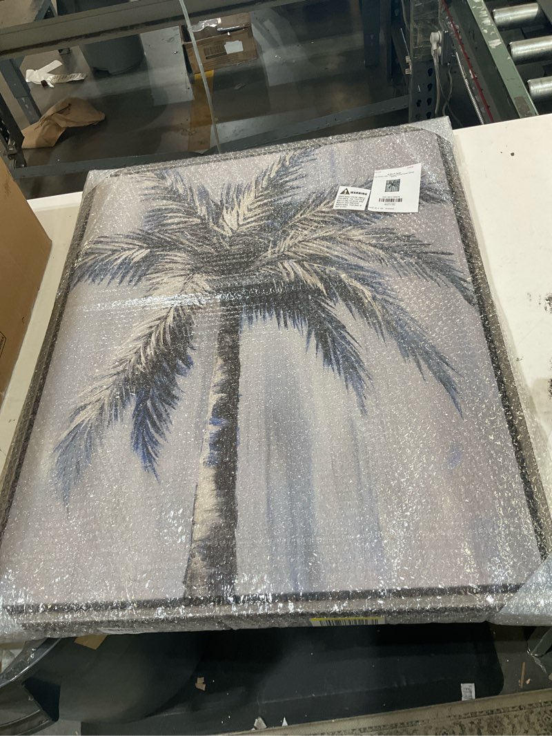 Condition photo showing Good Condition for stupell industries grey modern palm tree framed floater canvas wall art by nan | stupell industries | gray, 17 x 21 inches, easy to hang and sturdy, made in usa, by nan luster gray (matte) floater frame (1.7"d) 17"l x 21"w