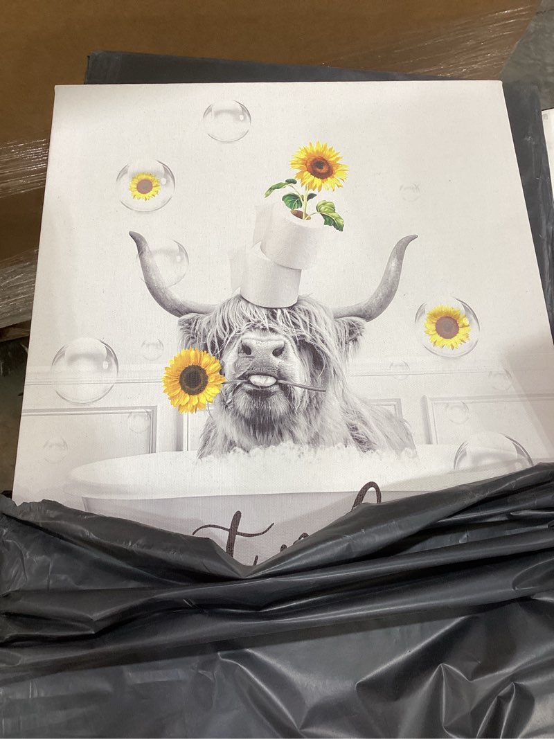 Condition photo showing Good Condition for bathroom decor wall art black and white wall decor farm highland cow in bathtub with sunflower wall art animal canvas prints funny highland cow modern giclee wall decor farmhouse artwork 12x18 inch