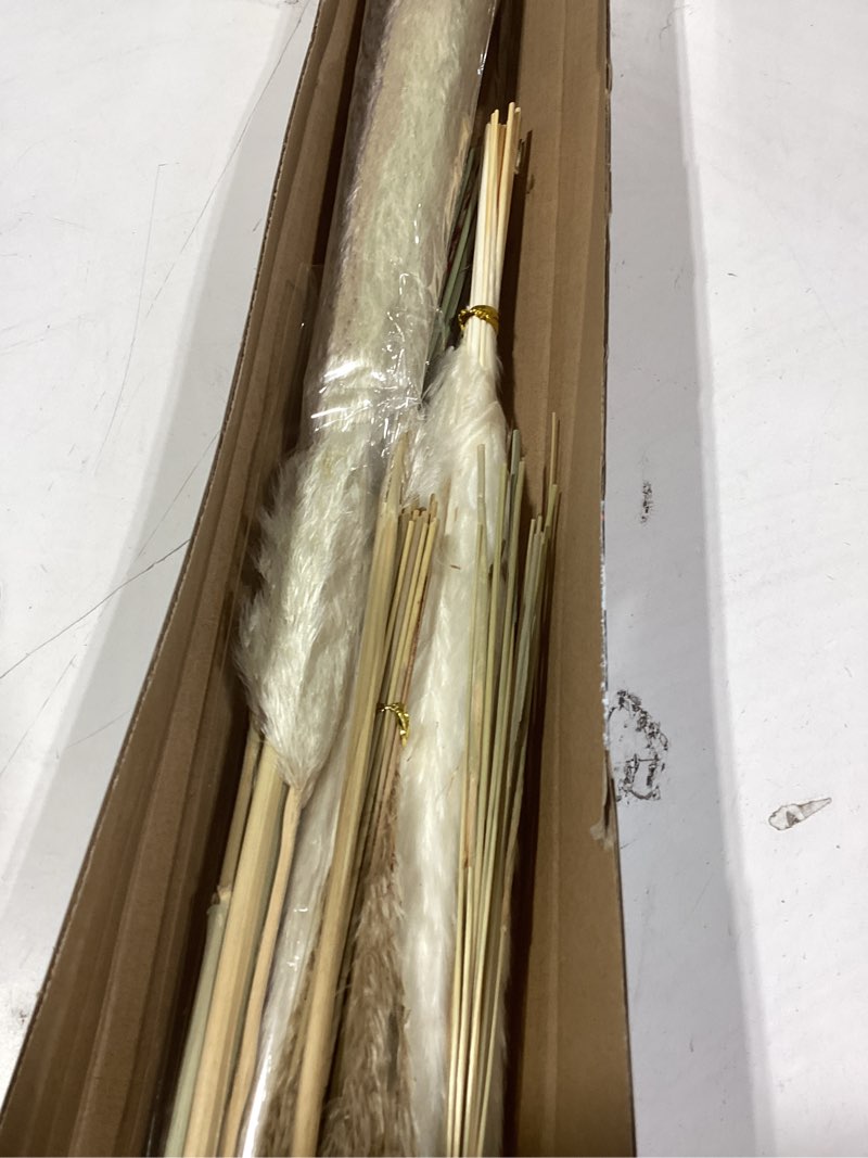 Condition photo showing As Is for Decorative Tall Pampas Grass for Floor Vase – Premium Large Pampas Grass Decor Tall, 17"-40" Pampas Grass Stems, Dried Pampas Grass Decor Tall, Natural Pampas Grass with Beige Decor and Boho Feathers