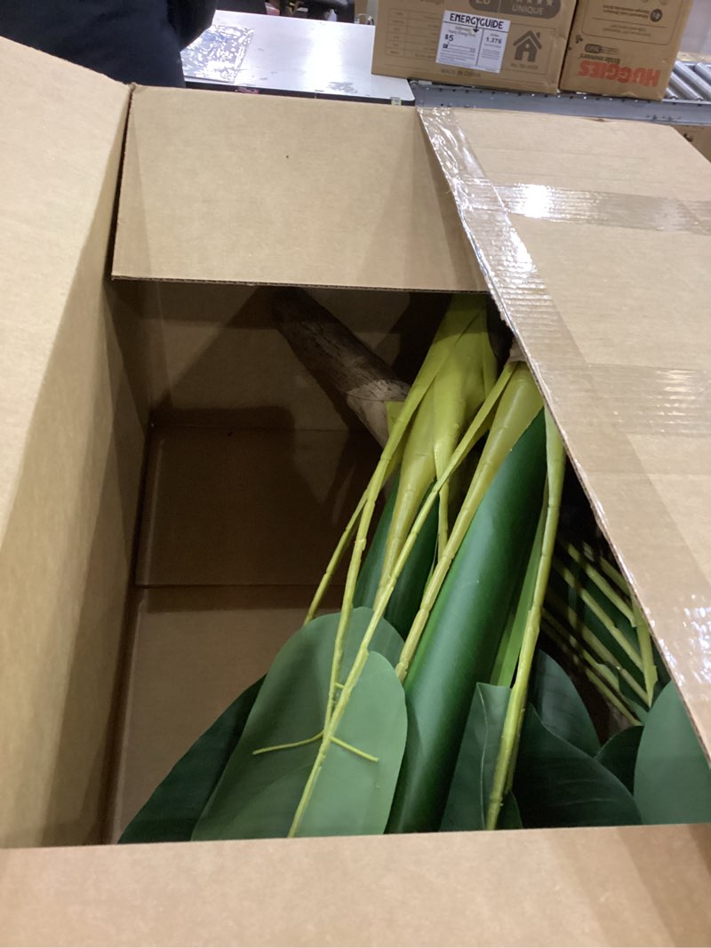 Condition photo showing As Is for VIAGDO Artificial Banana Tree 6ft Tall 22 Large Leaves Triple Stalk Faux Banana Silk Tree Artificial Banana Leaf Plant for Home Decor Indoor Travelers Palm Tree for Living Room Decoration