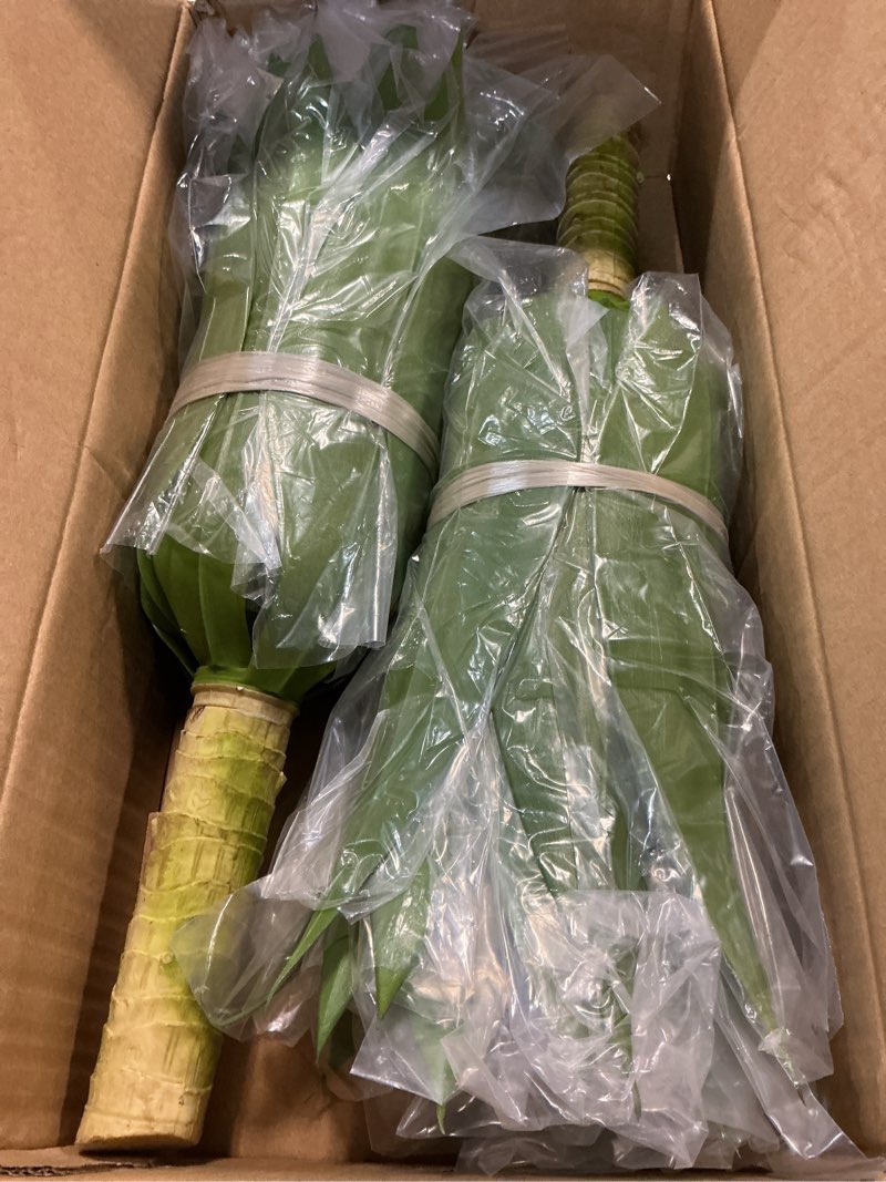 Condition photo showing New/Like New for Velener 28 Inch Artificial Agave Plants Outdoor Set, Large Fake Plants Indoor for Home Decor, Realistic UV Resistant Faux Succulents Plants Without Pot, Set of 2 Green*2 28 Inches