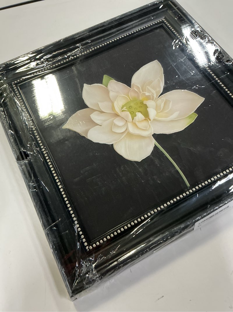 Condition photo showing Good Condition for Qizee Vintage Floral Wall Art Home Decor,The White Lotus Vintage Flower Decor,Flower Prints Room Aes