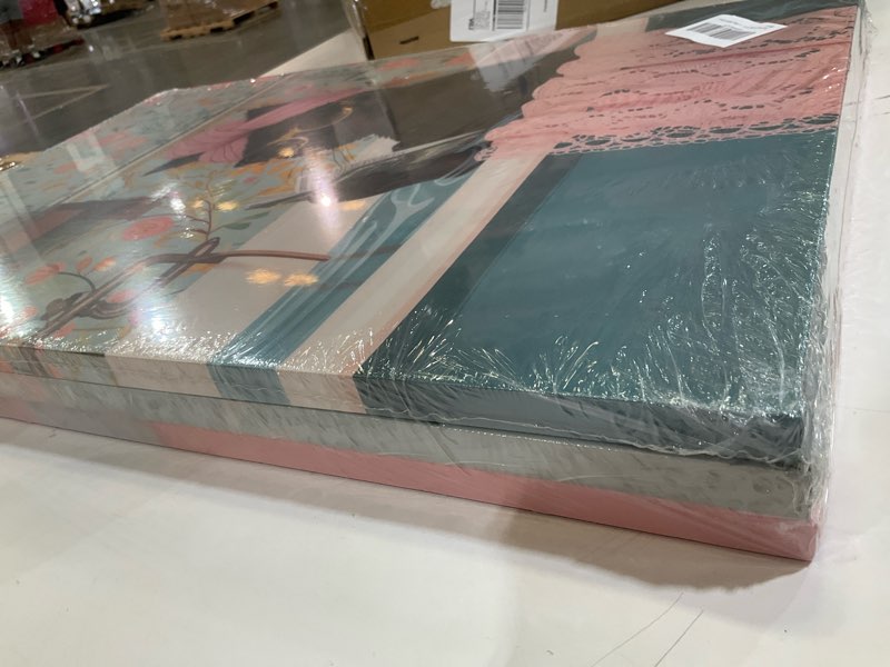 Condition photo showing item condition for 3pcs funny cat wall art