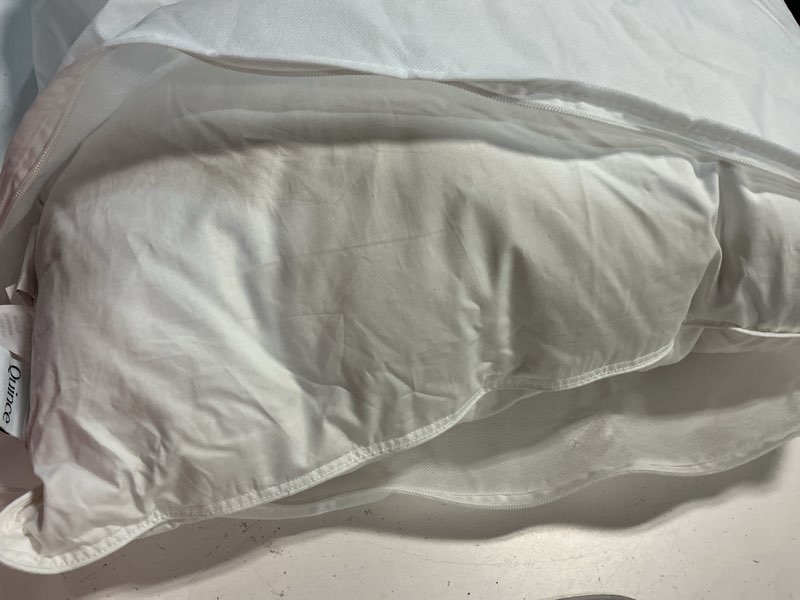 Condition photo showing Good Condition for premium down pillow, standard, medium