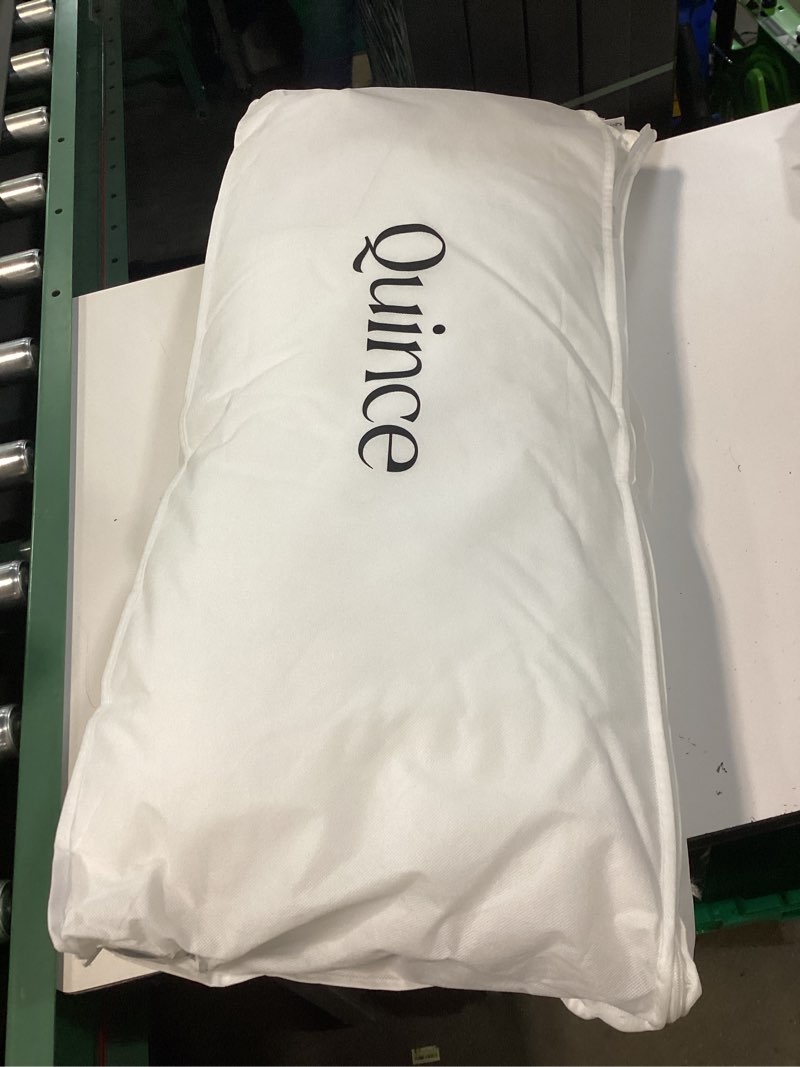 Condition photo showing New/Like New for premium down pillow king 