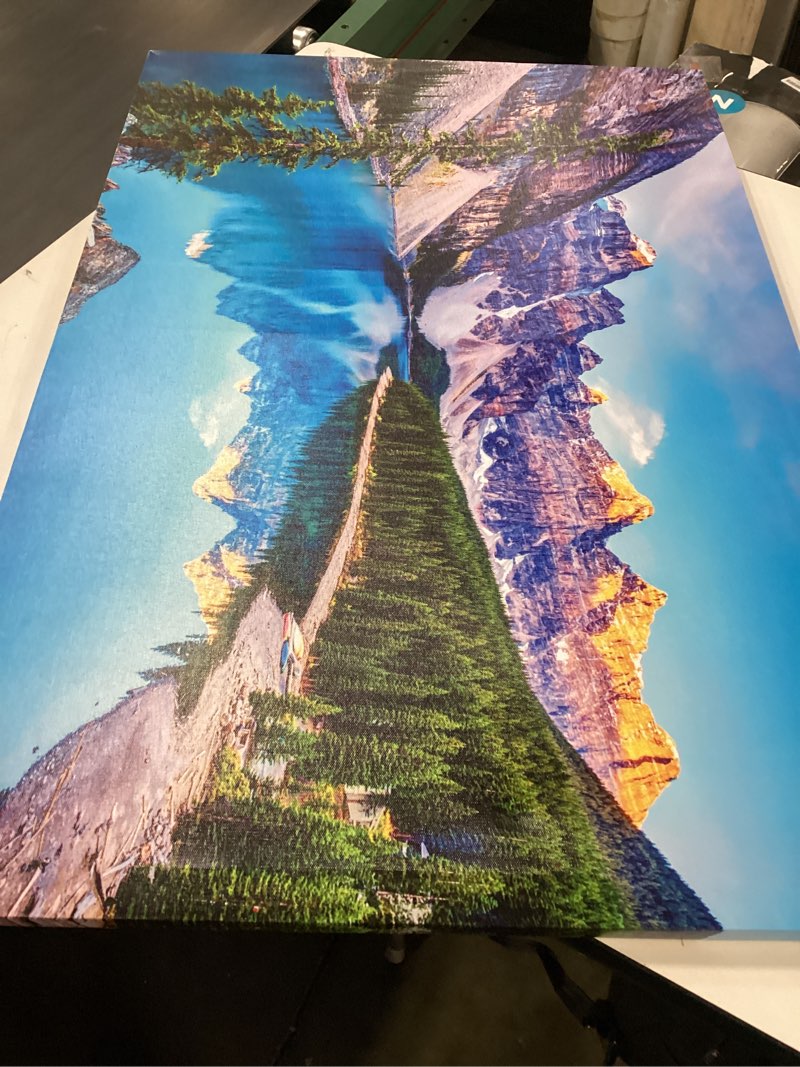 https://lotting-media.assets.bidfta.com/lotting_ad2d068c-c340-4b11-a16b-b3ee8bff2bc1