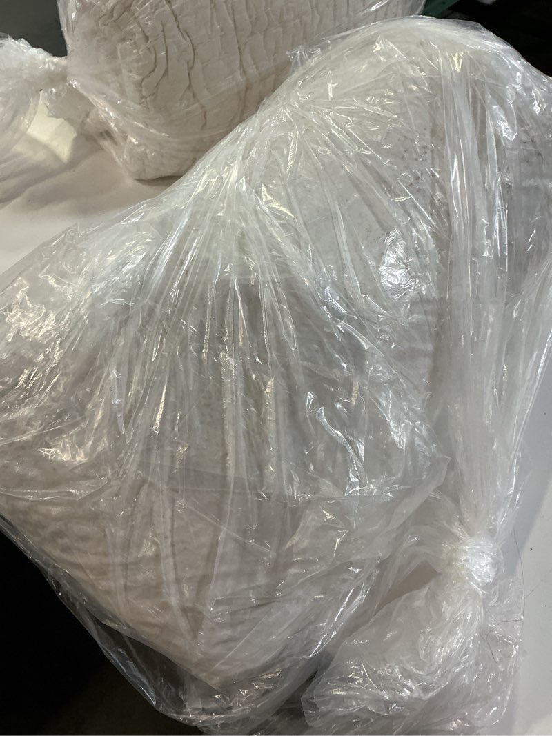 Condition photo showing As Is for premium feather pillow insert, 12x48, no color