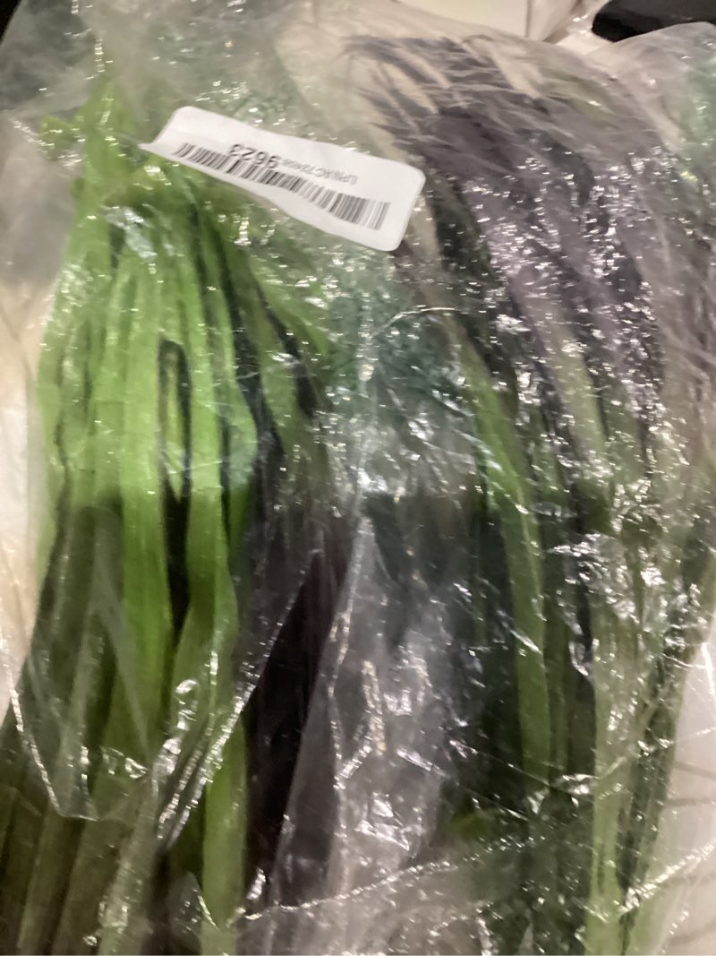 Condition photo showing Good Condition for 6Pcs Artificial Grass Fake Grass Plants 17.3in Outdoor Plants UV Resistant Faux Greenery Stems for Home Window Garden Office Patio Pathway Front Porch Halloween Décor Light Green & Purple Light Green & Purple 6 Pcs
