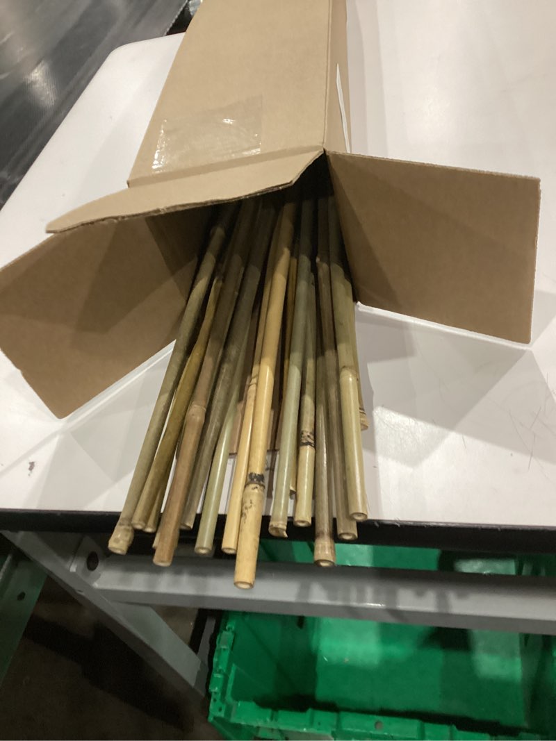 Condition photo showing As Is for 2ft Natural Bamboo Plant Stakes for Tomatoes, Beans, Flowers, Potted, Climbing Plants 25pcs