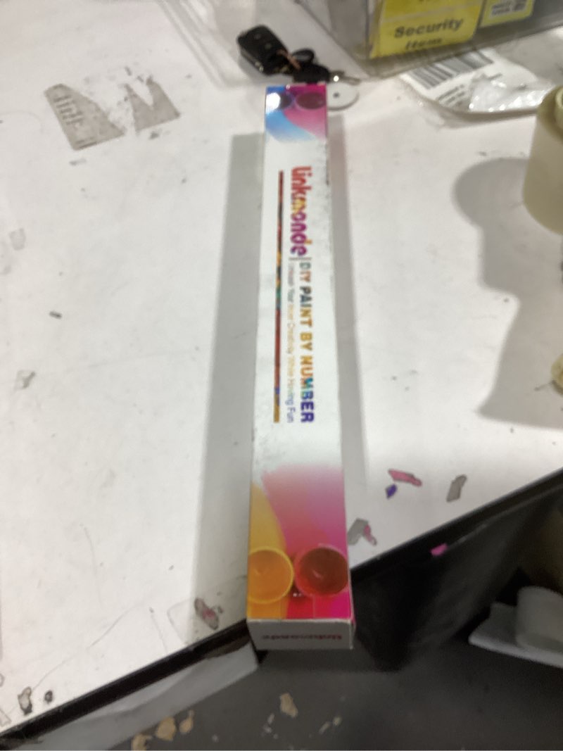 Condition photo showing New/Like New for Linkmonde Kids' Painting by Numbers DIY Acrylic Painting Kit for Kids & Adults Beginner – 16” x 20” Village Cabin Art