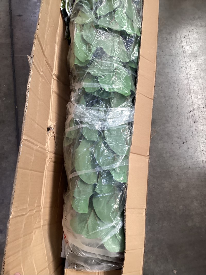 Condition photo showing Good Condition for *similar to stock* amerique pair 5 feet artificial fiddle trees with nursery pots, real touch tech.