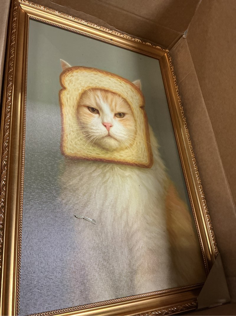Condition photo showing Good Condition for vintage gold framed-eclectic cat with bread slice wall art,whimsical animal picture,cottagecore canvas prints,ready to hang for farmhouse kitchen bedroom wall decor-16x24 inch cat-1 24"l x 16"w
