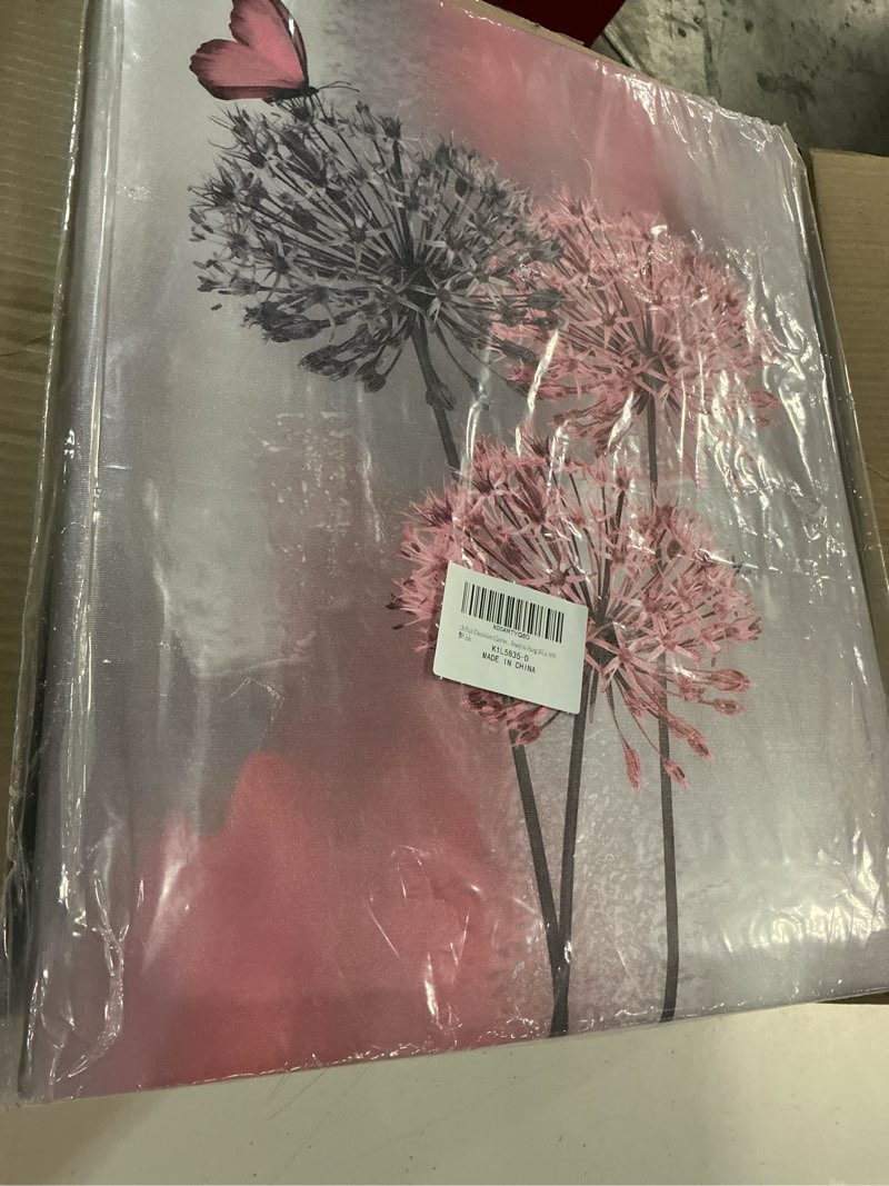 Condition photo showing Good Condition for lb pink dandelion canvas wall art pink and grey dandelion with butterfly on modern abstract wall art aesthetic wall decor for living room bedroom bathroom office framed ready to hang 20l x 16w pink 20"l x 16"w
