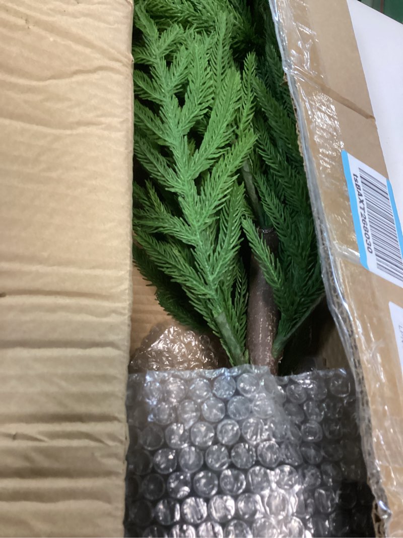Condition photo showing New/Like New for Nearly Natural 2ft. Norfolk Island Pine Natural Look Artificial Tree in Decorative Planter