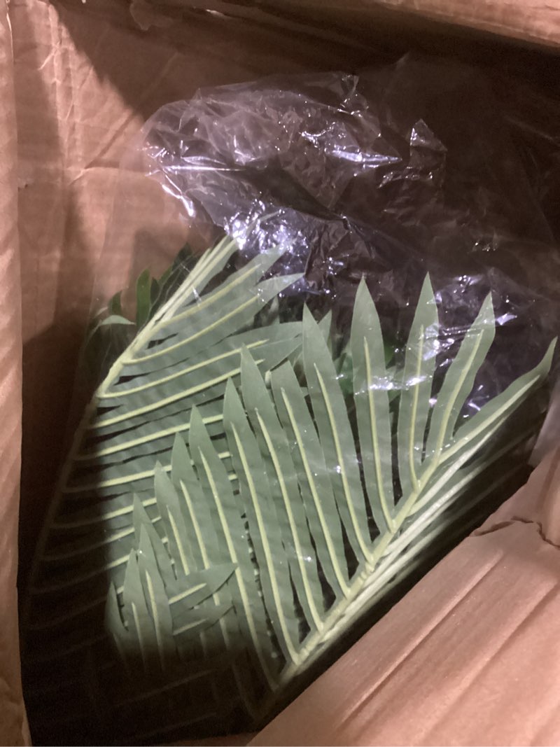 https://lotting-media.assets.bidfta.com/lotting_ae020485-4025-47a2-a9a9-56a917c9af11