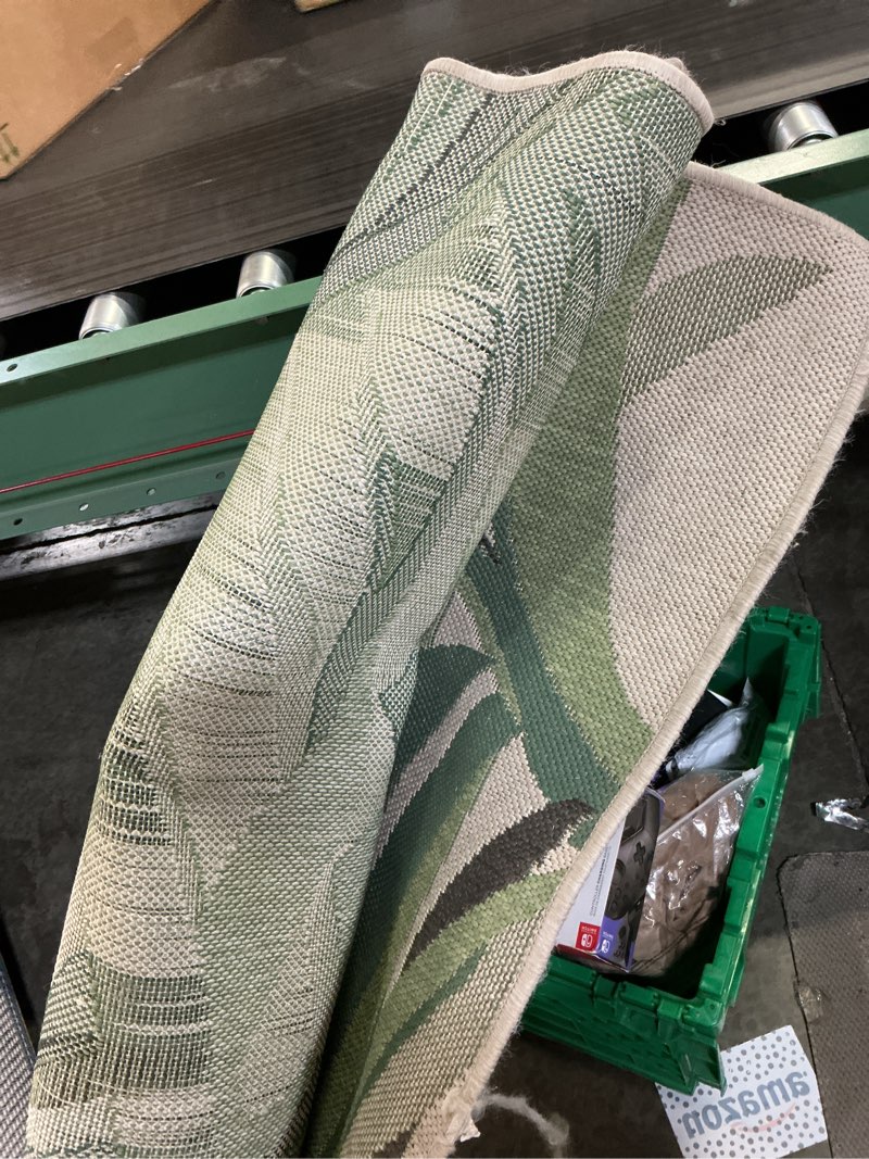 Condition photo showing As Is for  allen + roth with stainmaster palm leaf 8 x 10 (ft) loomed polypropylene green