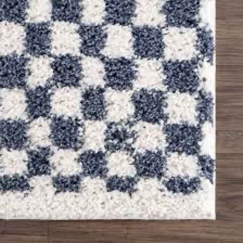 Reidsville Checkered Machine Woven Polyester Area Rug in Blue