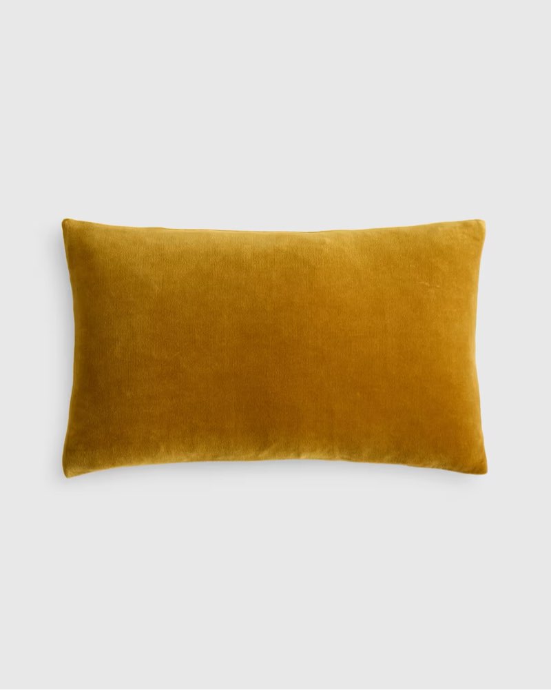 classic cotton velvet pillow cover color: marigold size: 12x20