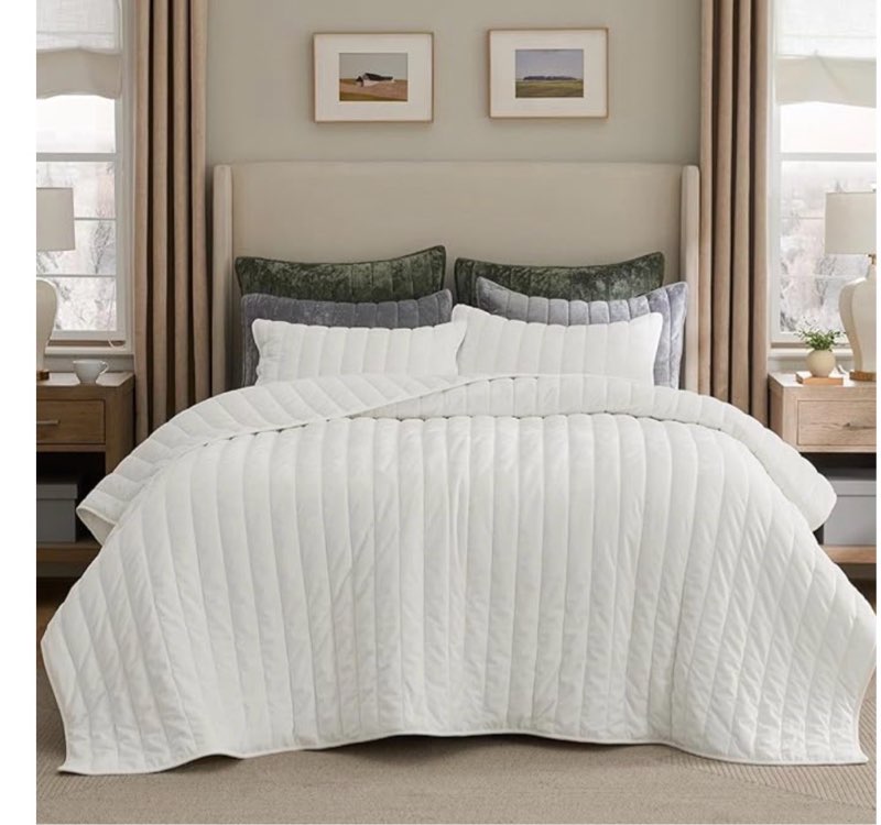 Bedsure Velvet Quilt Queen Size Set - Lightweight Velvet Comforter Queen, Luxury Bedspread Coverlet, Ultra-Soft Winter Bedding Set with 2 Pillow Shams, 90"x96", Cream White