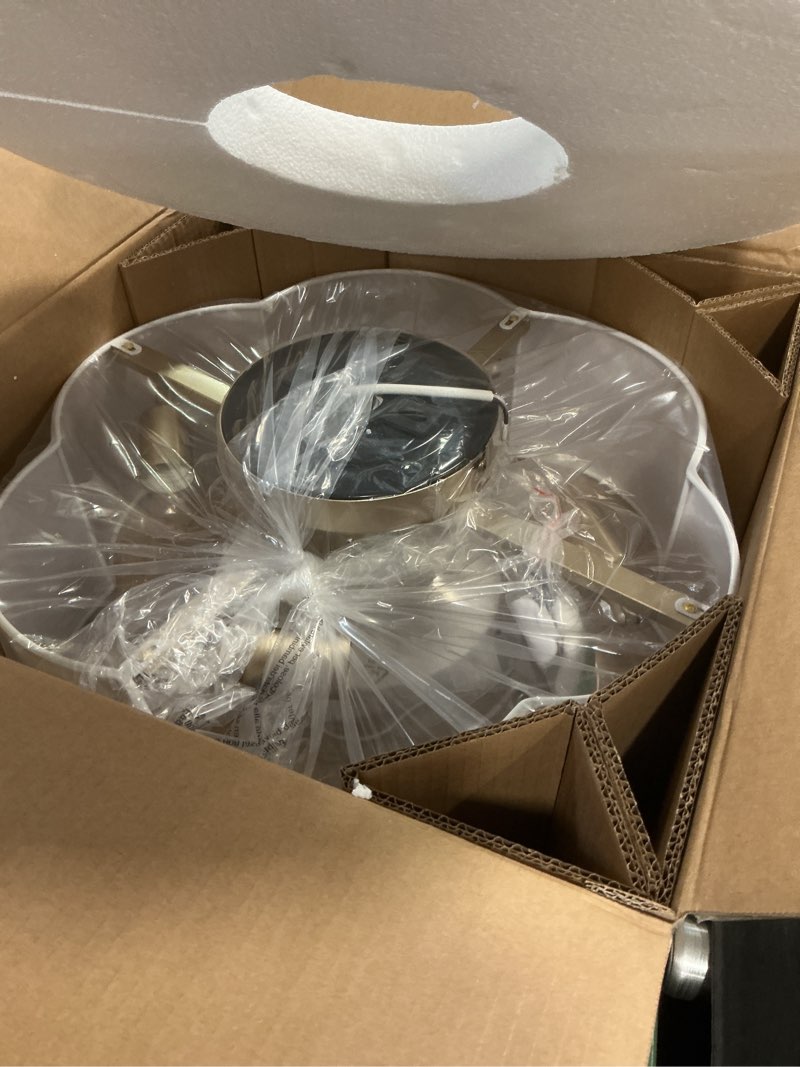 Condition photo showing Good Condition for Caged Ceiling Fan with Lights, Flush Mount 20" Boho Ceiling Fans with Lights Remote Control, Low Profile Fabric Bladeless with 6 Speeds for Bedroom, Nursery, Kitchen White